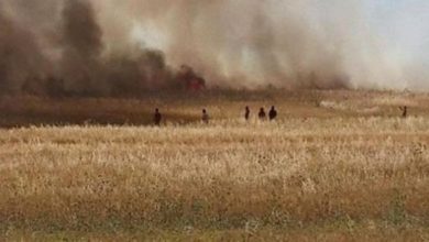Photo de Le Kef: Un incendie détruit environ 10 hectares de blés et de résidus de moisson à Sakiet Sidi Youssef