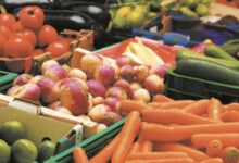 Photo de Espagne : boom des importations de fruits et légumes marocains