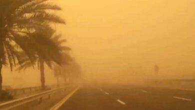 Photo de Une tempête de sable s’abat sur l’autoroute A1 Tunis-Gabès provoquant une mauvaise visibilité