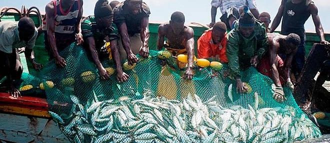 Sénégal : Greenpeace pour plus de transparence dans le secteur de la pêche