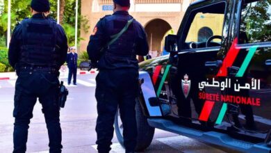 Photo de La police des Émirats arabes unis en formation au Maroc