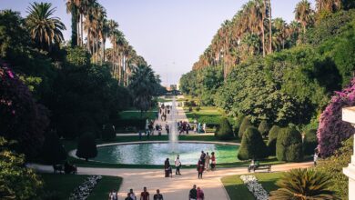 Photo de Algérie -Jardin d’essai d’El Hamma: plus de deux millions de visiteurs en 2022, un record