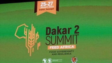 Photo de Sommet “Dakar2” : Renforcer la souveraineté alimentaire des pays africains