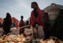 Photo de La Corne de l’Afrique sous la menace croissante de la famine