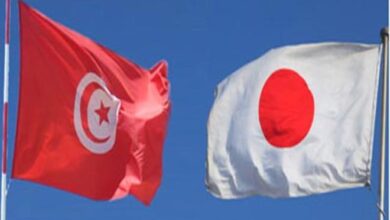 Photo de Le renforcement du partenariat tuniso-japonais au coeur d’un entretien entre le ministre de l’Economie et le président de l’Association japonaise AFRECO