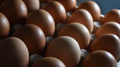 Photo de Les Marocains confrontés à une hausse incompréhensible du prix des œufs
