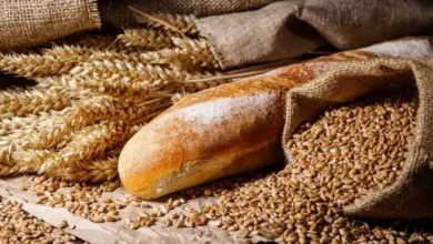 Photo de Le Maroc contraint d’importer du blé