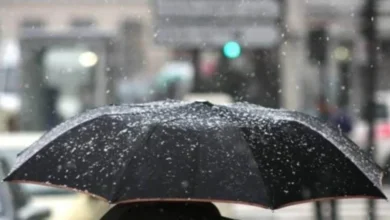 Météo en Algérie