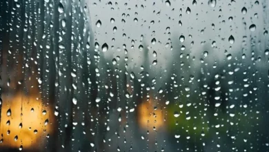 météo tunisie