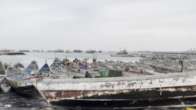 Des centaines de migrants ont été récemment arrêtés en Mauritanie, où ils sont placés en rétention en attendant leur expulsion vers leurs pays d'origine.