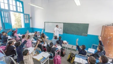 Le ministère de l’Éducation nationale en Algérie lance une campagne de recrutement d’enseignants contractuels. Ainsi, il souhaite combler rapidement les postes vacants avant le concours national prévu en décembre 2025.