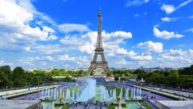 Travailler en France avec un diplôme algérien : ce qu’il faut savoir