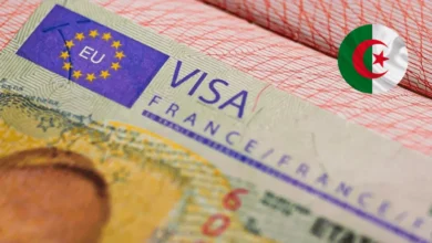 France : les Algériens confrontés à un taux record de refus de visas Schengen