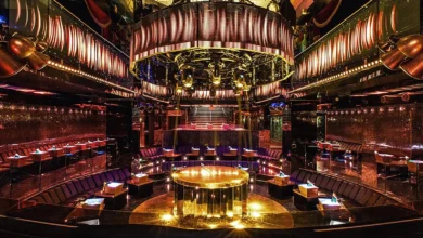 Paris : un manipulateur en série soupçonné d’avoir détruit la vie de six femmes