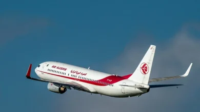 France : Air Algérie lance une nouvelle promotion sur ses vols dès 119 € aller-retour