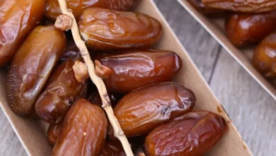 Kébili : la production de dattes bio augmente