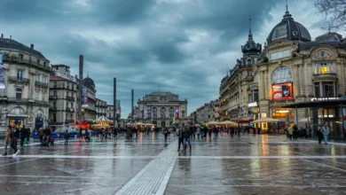 Montpellier relance le parrainage républicain pour accueillir les étrangers sans-papiers