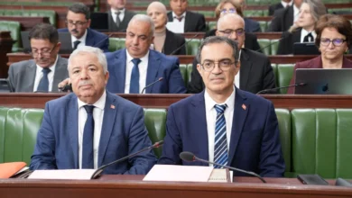 Tunisie régression de 20 % du cheptel bovin, le ministère de l’Agriculture agit