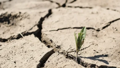 Tunisie : le stress hydrique menace l’eau potable