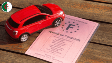 Permis étranger en Algérie : ce que change le nouveau Code de la route
