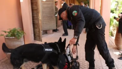 Casablanca : fin de cavale pour un Français recherché par Interpol pour escroquerie et blanchiment