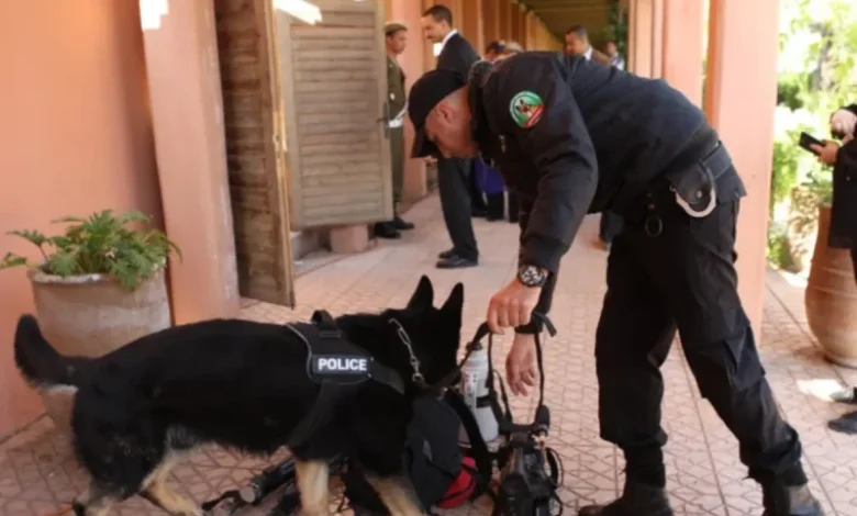 Casablanca : fin de cavale pour un Français recherché par Interpol pour escroquerie et blanchiment