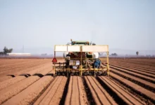 Phosphate marocain OCP reprend ses exportations vers les États-Unis